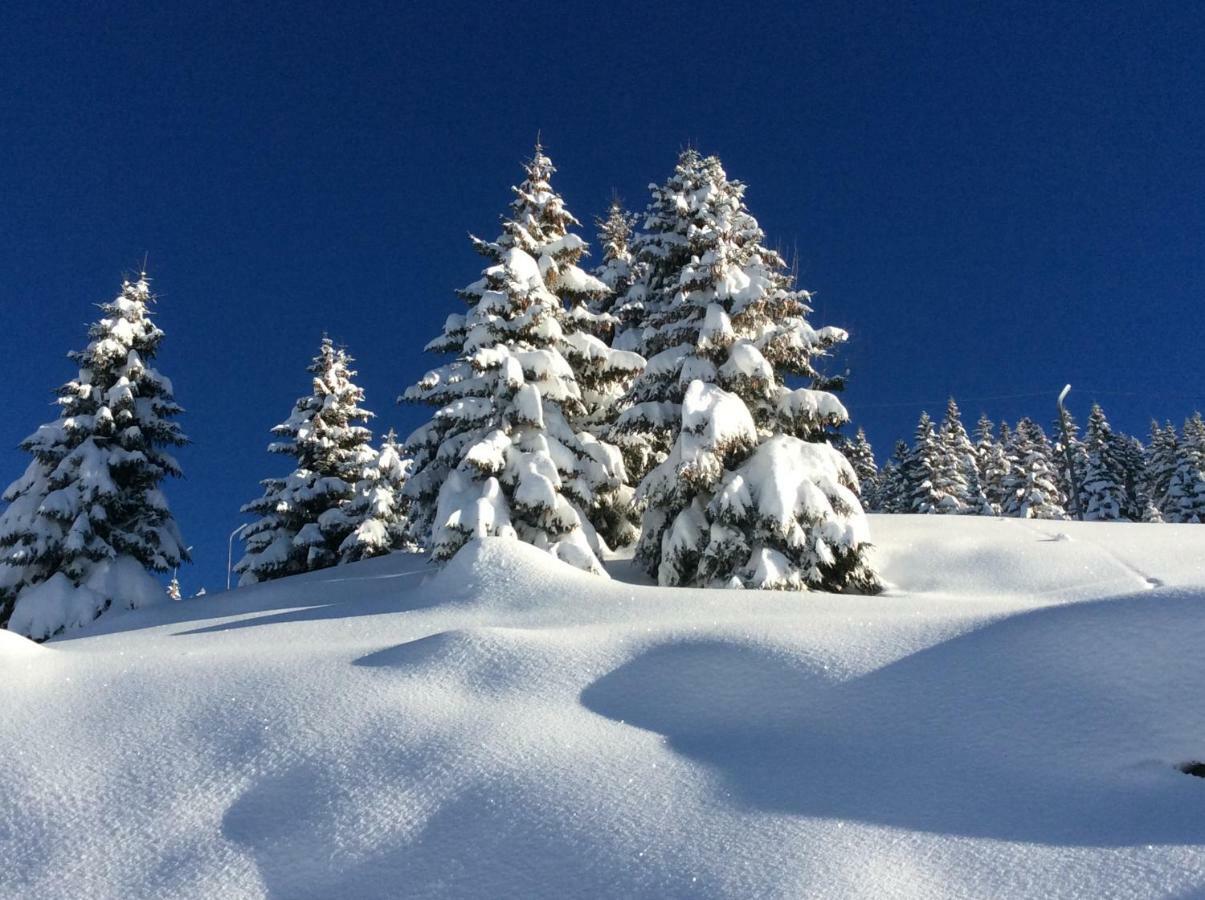 Chalet 13 Personnes-Le Vanvolet Les Saisies Luaran gambar